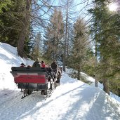 slitta con cavalli sulla neve