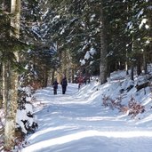 sentiero da sommo per cornetto folgaria inverno