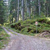sentiero nel bosco di bambesta bivio per sadole