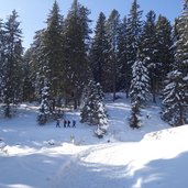 sentiero per rifugio paradiso folgaria inverno