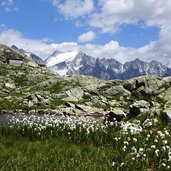 laghetti del mandrone con rifugio e presanella