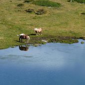 lago delle buse cavalli