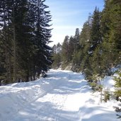 strada da folgaria a rifugio paradiso inverno