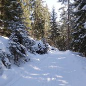 strada da folgaria a rifugio paradiso inverno