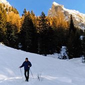 Discesa da Malga Vaglianella a Malga Mondifra