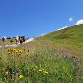 sentiero sul col rodella