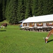 malga di valmaggiore lama