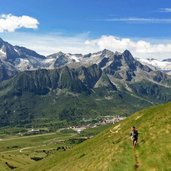 Sentiero con vista su Adamello e Presanella e Passo del Tonale