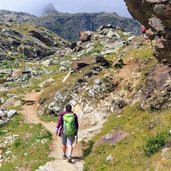 Sentiero tra il rifugio e i Laghi