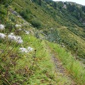 sentiero b sopra lago moregna