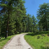 sentiero per malga di smarano e di sfruz