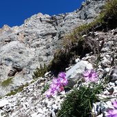 sentiero scala santa per rifugio xii apostoli