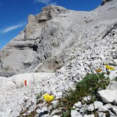 papavero retico lungo sentiero scala santa