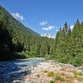 sarca di genova a ponte verde