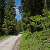 discesa da malga romeno a bocca delle valli