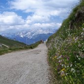 vista verso col de rossi da viel del pan