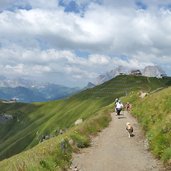 viel del pan bindelweg