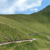 viel del pan bindelweg