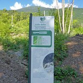 spormaggiore sulle tracce dell orso parco naturale adamello brenta