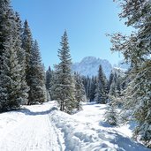 sentiero val venegia per malga venegia inverno