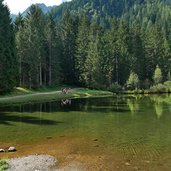 lago dei caprioli di fazzon fr