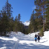 sentiero invernale per gardeccia