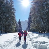 sentiero val venegia per malga venegia inverno escursionisti