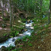 torrente sporeggio