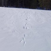 orme lepre neve lago calaita