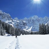 sentiero val venegia e gruppo pale di san martino inverno