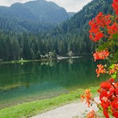 lago dei caprioli da ristorante