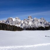 calaita inverno orme ciaspole sfondo pale di san martino