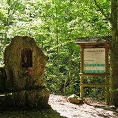 sentiero val dromae sant antonio