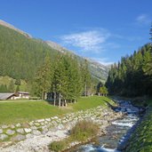 torrente rabbies