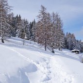 ski lagorai passo brocon ciaspole monte agaro