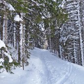 percorso ciaspole monte agaro passo brocon