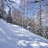 sentiero ciaspole monte agaro ski lagorai