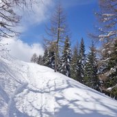 sentiero ciaspole monte agaro ski lagorai