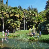 parco arboreto di arco laghetto