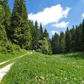 strada per malga vallorsara