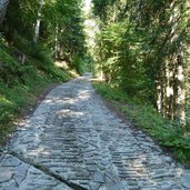 dolomiti brenta bike salita val di sole monte peller