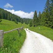 strada per malga vallorsara