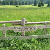 strada per malga vallorsara