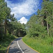 pista ciclabile val di non a nordovest di romeno bosco