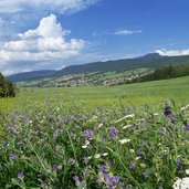 estate alta val di non prati presso cavareno e romeno