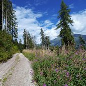 dolomiti brenta bike salita val di sole monte peller