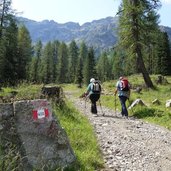 sentiero escursionisti verso rifugio taramelli