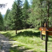 sentiero da malga covel a val cadini