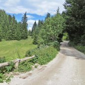 val nana pian della nana percorso mtb dolomiti brenta bike