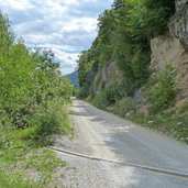 strada forestale sentiero collegamento cles monte peller